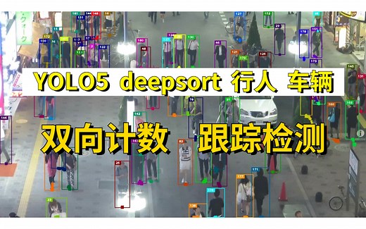 火遍全网的【人工智能-YOLO实战项目】用YOLO5+DeepSORT打造实时多目标跟踪！