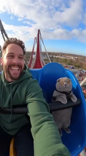 Cat's FIRST Roller Coaster Ride - Priceless Reaction! 😱🐱🎢