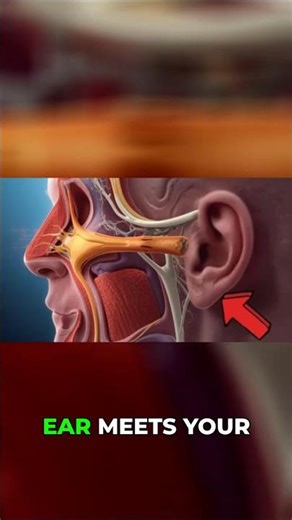 Sleep Better: Science-Backed Tips & Techniques