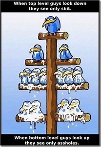 適合敏捷式組織的架構：全員參與制（Sociocracy）、認可決、雙連結 - 黑手阿一的實戰報告