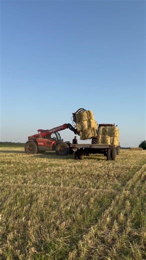 Front Loader Tractor Precision Stacking Hay in Golden Fields #farm #equipment #satisfying