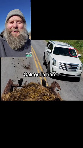 Meet Cadillac Karen: The Infamous Karen in California