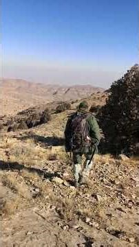 سرشماری پارک ملی تندوره پاییز 1404 #animals #nature #wildlife #automobile #zoo #birds #birds