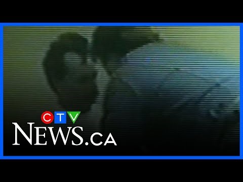 Historical crime: 1994 double murder in Sherwood Park