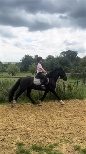 Ahaha she’s okay guys😂 #viral #likeandcomment #horsegirls #fyp #fall #horsefall #horsefail #fallingoff #fallingoffhorse