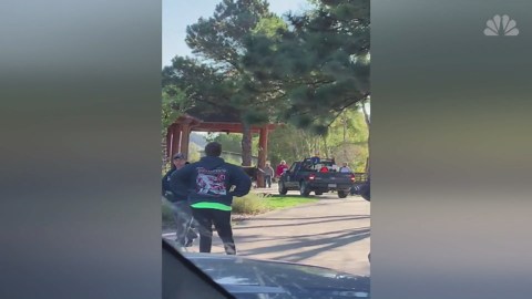 Charging elk caught on camera in Colorado