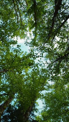 Best Nature Videos