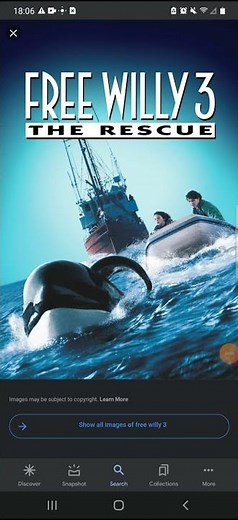 Happy 25th Anniversary Free Willy 3 The Rescue (1997)