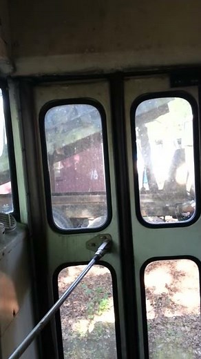 1980s GMC 6000 Blue Bird School Bus