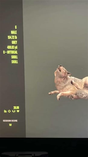 Thehunter call of the wild Gray Wolf