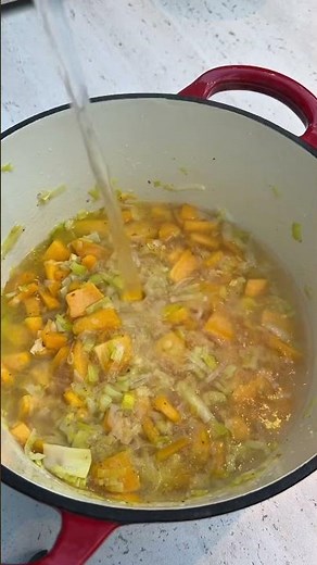 QUICK Stew #easyrecipes #recipes #easyrecipes