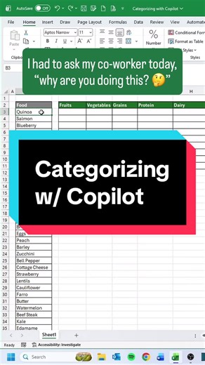 Dozens of items categorized in seconds ⚡️ #excel #exceltips #cheatsheets #copilot #education