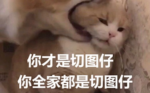 【Web前端开发-6】《零基础入门学习Web开发之网页切图》