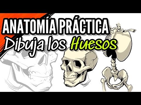 CÓMO DIBUJAR LOS HUESOS / ANATOMÍA HUMANA / TUTORIAL DE DIBUJO / CURSO DE DIBUJO / #dibujo #arte