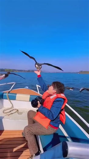 Greylag Geese (灰雁,Anser anser), living in Linyi city of Shandong province. It is the ancestor of most breeds of domestic goose. Its distribution is widespread, with birds from the north of its range in Europe and Asia. ❤临沂大雁哥 ❤❤❤ #Nature #Peace #wildlife #China #love #travel | Lin hillside