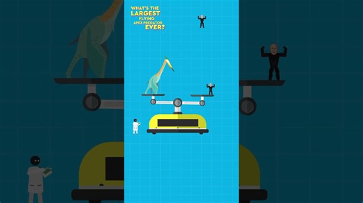 Largest flying animals in history revealed and explained