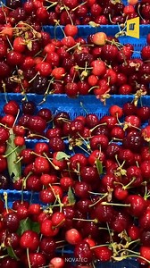 How Cherries Processing Line works Inside The Factory | Mechanical Mind