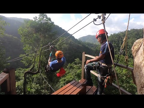 Ziplining in Belize!
