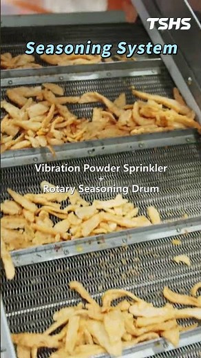 Seasoning System｜Vibration Powder Sprinkler｜Rotary Seasoning Drum｜Tsunghsing(TSHS)