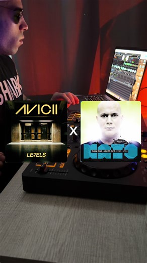 Levels x Turn the Lights Off Mashup