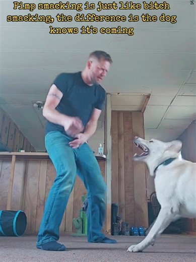 Humorous Insights on Love and Relationships