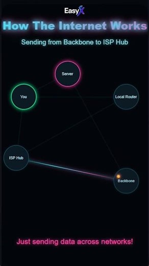 See How the Internet Works #easyx #code #maths