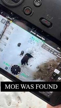 If anyone would like to help Moe recovery, Thank you. Link in Bio. https://gofund.me/eb5b29d95