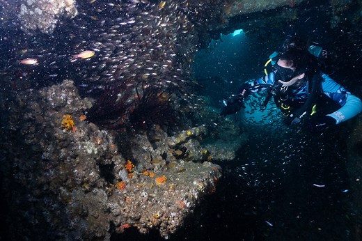 Dive HMAS Brisbane | Australia's #1 Artificial Wreck