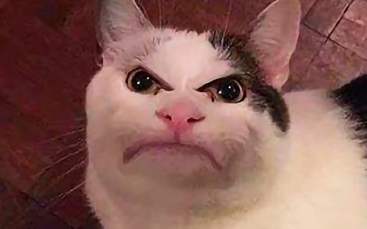 [Beluga和他的小伙伴]生日限定——生气的Beluga