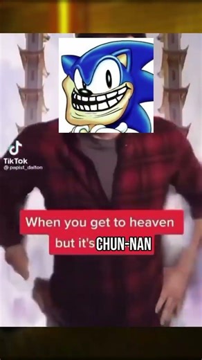 THE BEST SONIC LEVELS