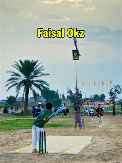 Faisal Okz bhora ghari cricket ground highlights