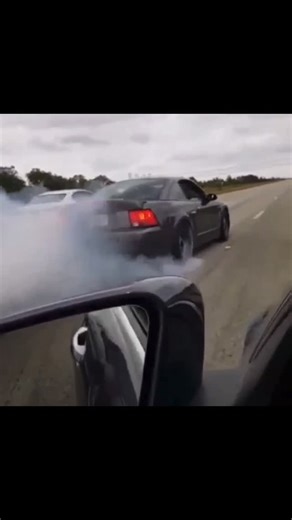 newedge only on Instagram: "Sound up 🔊 #newedgeonly #terminator #svtcobra #supercharged #burnout"