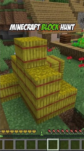 Minecraft Block Hunt But They'll Never Find Me...