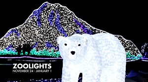 Let it glow. ✨ Let it glow. ✨ Let it glow. ✨ It's the most magical time of the year at Point Defiance Zoo. Zoolights, presented by BECU, sparkles bright Nov. 24-Jan. 1. Come see the Zoo transformed into a colorful winter wonderland with over 800,000 lights. 🎟️: www.pdza.org/zoolights For the last three years, Zoolights sold out, so be sure to get your timed online tickets soon! Note: Only tickets are valid through pdza.org/zoolights. | Point Defiance Zoo & Aquarium