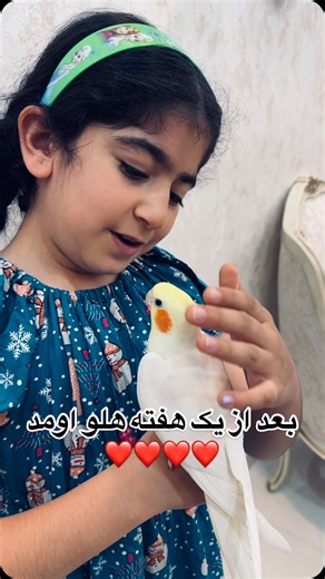 Instagram video by 🎀mehraban🎀 • Apr 6, 2025 at 7:36 AM