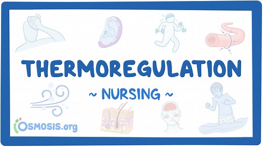 Thermoregulation : Nursing: Video & Causes | Osmosis
