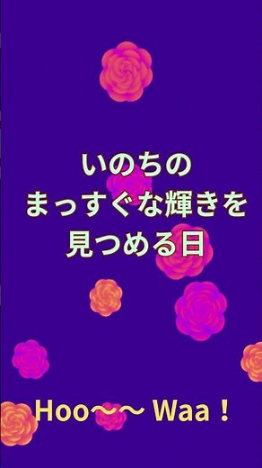 端午菖蒲の節句・こどもの日 五節句