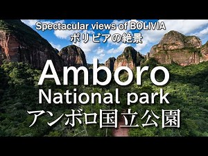 Bolivia's Amboro National Park: Spectacular Views of the Andes and Amazon