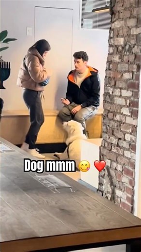 #comein DOG #mmm nothing like a #dogs RIGHT#happiest thing in here