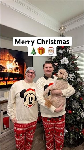 Decorating the Christmas Tree Timelapse 🎄| Fast, Festive, and Satisfying ✨