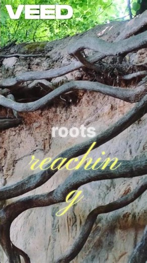 Winds Shape Mountain Ecosystems #mountainswiev #ancienttraderoute #facts #travel #natureimages