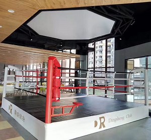 [Hot Item] 2021 Boxing Equipment Training Factory with Custom Logo Printed Floor Boxing Ring