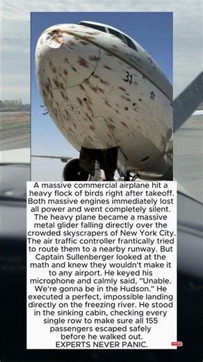 THE PILOT MADE ONE IMPOSSIBLE DECISION! 🤯🌊