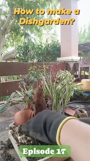 2.1K views · 16 reactions | Dyna Abala on Reels | Facebook