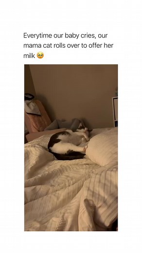 128K views · 10K reactions | somebody’s gotta step up and parent (via: @kylie_horn2021) | Betch | Facebook