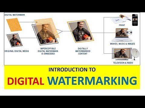 What is Digital Watermarking? | Digital Watermarking Explained