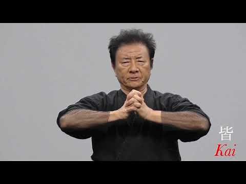 The Original Ninja "Sho Kosugi" Then and Now