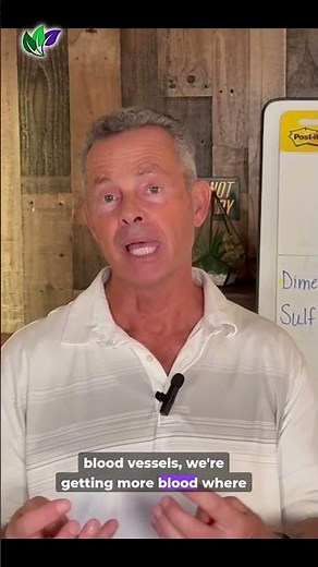 DMSO and blood flow—what’s the connection? #dmso