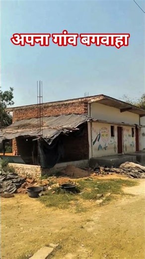 अपना गांव बगवाहा 💖🧡😘🥰🤩🤩😀🌾✌️🥺📍😓🤗🤗🤟🙋🙋😅🥺👋🌿🌿 #hindisong #song #viral #vlogger #गांव