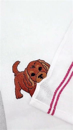 Playing Cocker Spaniel Puppy Dog ITH